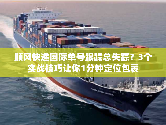 顺风快递国际单号跟踪总失踪？3个实战技巧让你1分钟定位包裹