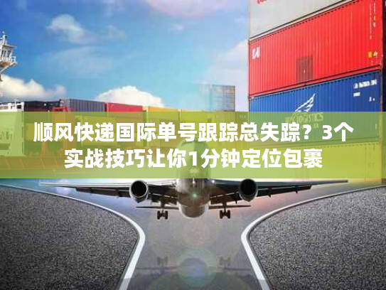 顺风快递国际单号跟踪总失踪？3个实战技巧让你1分钟定位包裹
