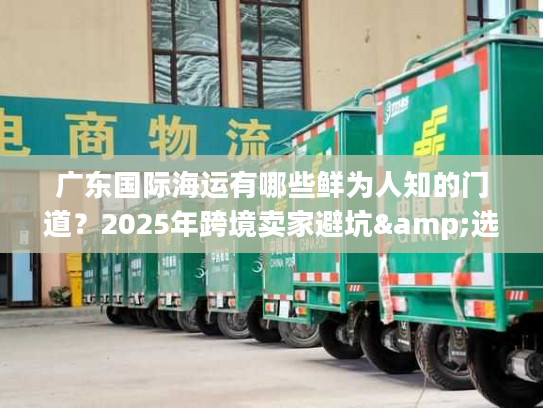 广东国际海运有哪些鲜为人知的门道？2025年跨境卖家避坑&选品全攻略