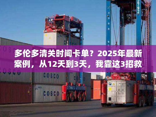 多伦多清关时间卡单？2025年最新案例，从12天到3天，我靠这3招救了订单！