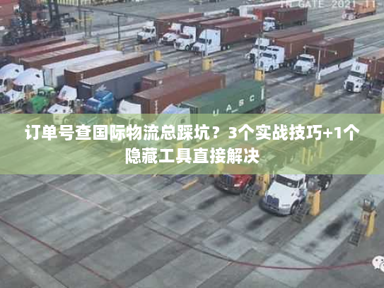 订单号查国际物流总踩坑？3个实战技巧+1个隐藏工具直接解决