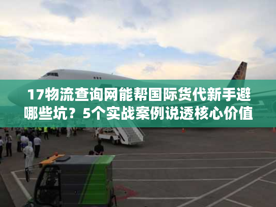17物流查询网能帮国际货代新手避哪些坑？5个实战案例说透核心价值