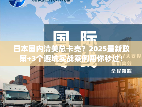 日本国内清关总卡壳？2025最新政策+3个避坑实战案例帮你秒过！