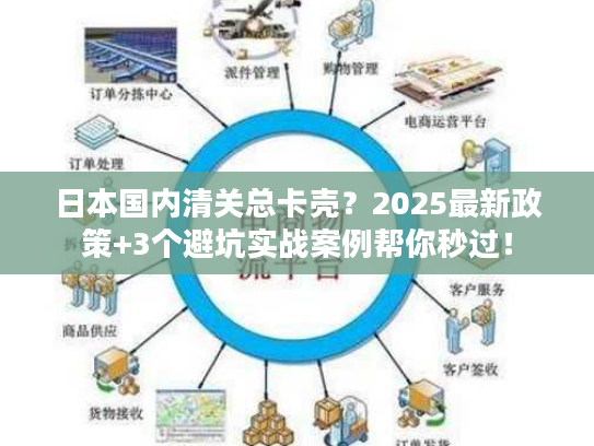 日本国内清关总卡壳？2025最新政策+3个避坑实战案例帮你秒过！