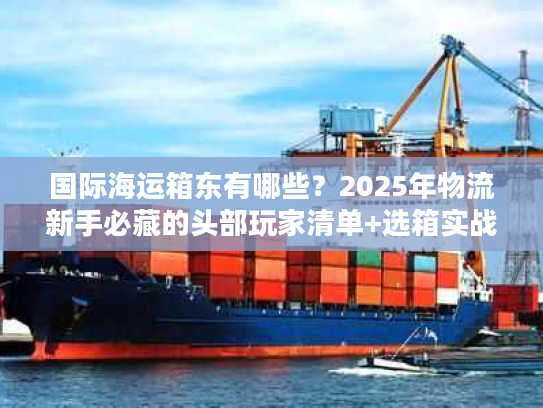 国际海运箱东有哪些？2025年物流新手必藏的头部玩家清单+选箱实战技巧