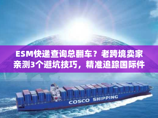 ESM快递查询总翻车？老跨境卖家亲测3个避坑技巧，精准追踪国际件超省心