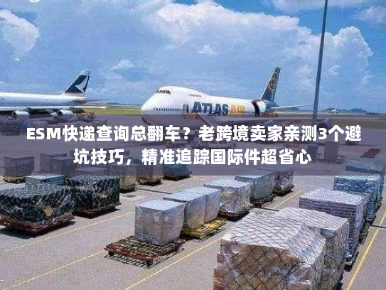 ESM快递查询总翻车？老跨境卖家亲测3个避坑技巧，精准追踪国际件超省心