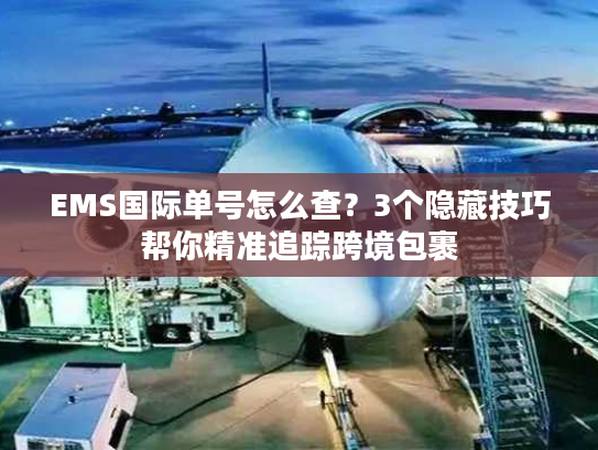 EMS国际单号怎么查？3个隐藏技巧帮你精准追踪跨境包裹