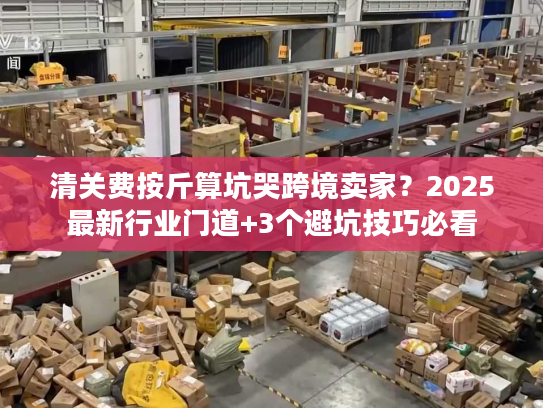 清关费按斤算坑哭跨境卖家？2025最新行业门道+3个避坑技巧必看