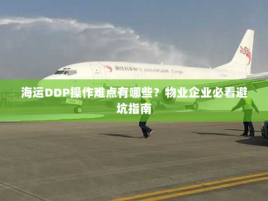 海运DDP操作难点有哪些？物业企业必看避坑指南