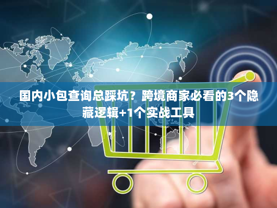 国内小包查询总踩坑？跨境商家必看的3个隐藏逻辑+1个实战工具
