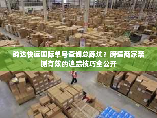 韵达快运国际单号查询总踩坑？跨境商家亲测有效的追踪技巧全公开