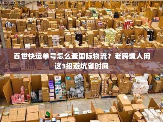 百世快运单号怎么查国际物流？老跨境人用这3招避坑省时间