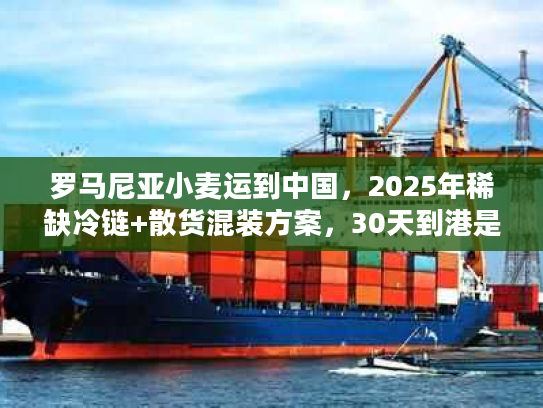 罗马尼亚小麦运到中国，2025年稀缺冷链+散货混装方案，30天到港是真的吗？