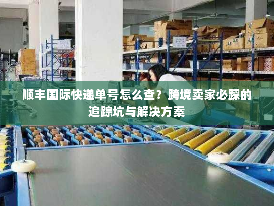 顺丰国际快递单号怎么查？跨境卖家必踩的追踪坑与解决方案