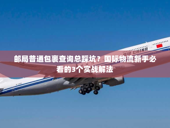 邮局普通包裹查询总踩坑？国际物流新手必看的3个实战解法