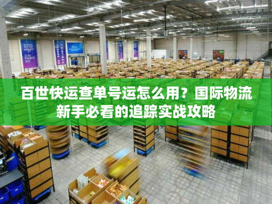 百世快运查单号运怎么用？国际物流新手必看的追踪实战攻略