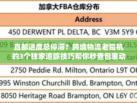 直邮进度总停滞？跨境物流老司机的3个独家追踪技巧帮你秒查包裹动态