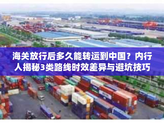 海关放行后多久能转运到中国？内行人揭秘3类路线时效差异与避坑技巧