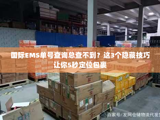 国际EMS单号查询总查不到？这3个隐藏技巧让你5秒定位包裹