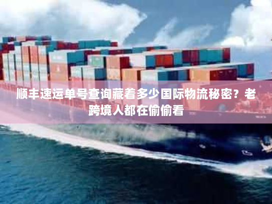 顺丰速运单号查询藏着多少国际物流秘密？老跨境人都在偷偷看