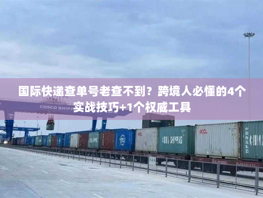 国际快递查单号老查不到？跨境人必懂的4个实战技巧+1个权威工具