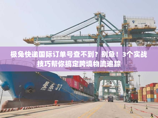 极兔快递国际订单号查不到？别急！3个实战技巧帮你搞定跨境物流追踪