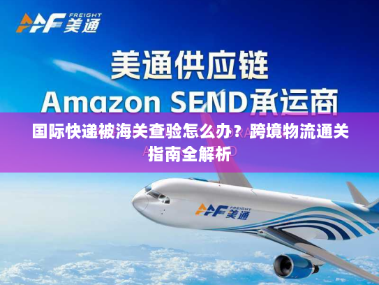 国际快递被海关查验怎么办?跨境物流通关指南全解析 国际快递被海关查验怎么办?跨境物流通关指南全解析