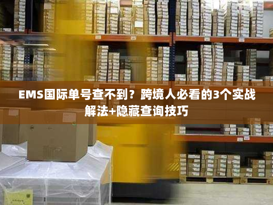 EMS国际单号查不到？跨境人必看的3个实战解法+隐藏查询技巧