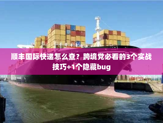 顺丰国际快递怎么查？跨境党必看的3个实战技巧+1个隐藏bug