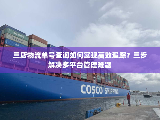 三店物流单号查询如何实现高效追踪?三步解决多平台管理难题 三店物流单号查询如何实现高效追踪?三步解决多平台管理难题