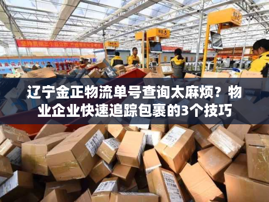 辽宁金正物流单号查询太麻烦?物业企业快速追踪包裹的3个技巧 辽宁金正物流单号查询太麻烦?物业企业快速追踪包裹的3个技巧