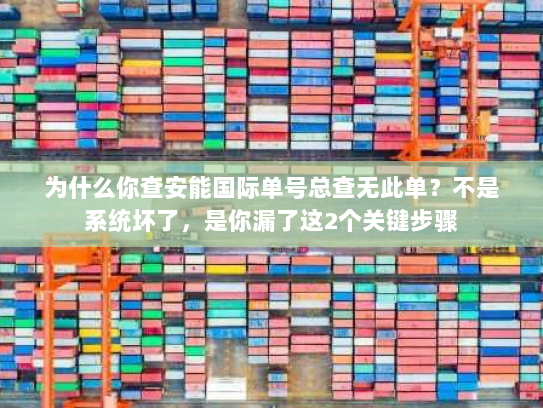 为什么你查安能国际单号总查无此单？不是系统坏了，是你漏了这2个关键步骤