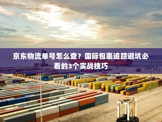 京东物流单号怎么查？国际包裹追踪避坑必看的3个实战技巧
