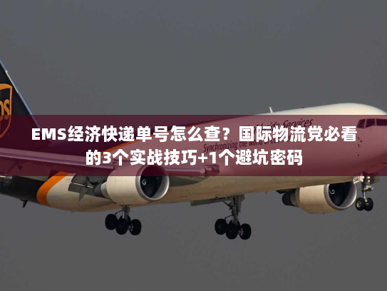 EMS经济快递单号怎么查？国际物流党必看的3个实战技巧+1个避坑密码