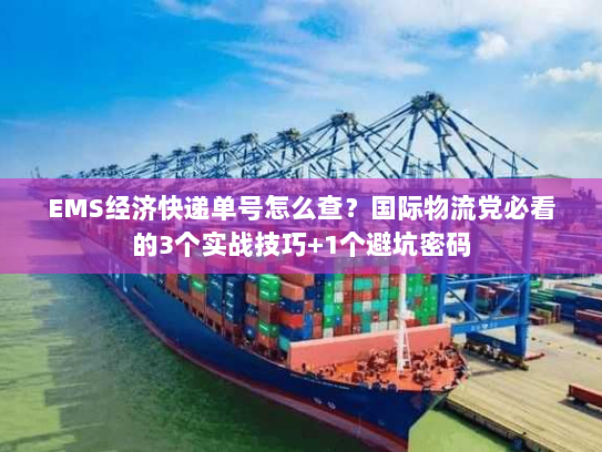 EMS经济快递单号怎么查？国际物流党必看的3个实战技巧+1个避坑密码