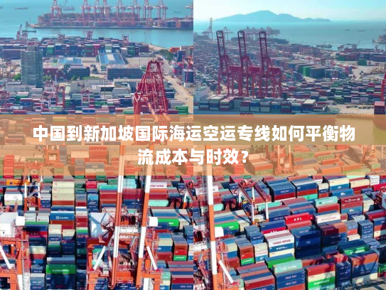 中国到新加坡国际海运空运专线如何平衡物流成本与时效？