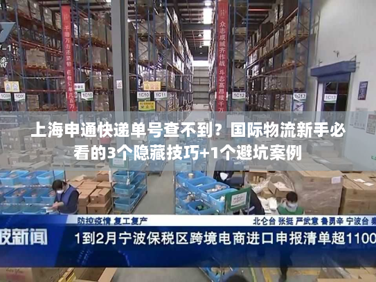 上海申通快递单号查不到？国际物流新手必看的3个隐藏技巧+1个避坑案例