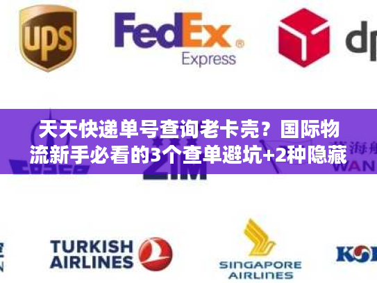 天天快递单号查询老卡壳?国际物流新手必看的3个查单避坑+2种隐藏追踪法 天天快递单号查询老卡壳?国际物流新手必看的3个查单避坑+2种隐藏追踪法