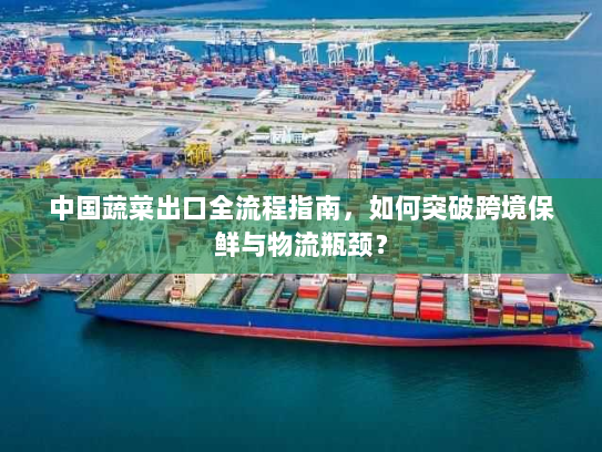 中国蔬菜出口全流程指南,如何突破跨境保鲜与物流瓶颈? 中国蔬菜出口全流程指南,如何突破跨境保鲜与物流瓶颈?