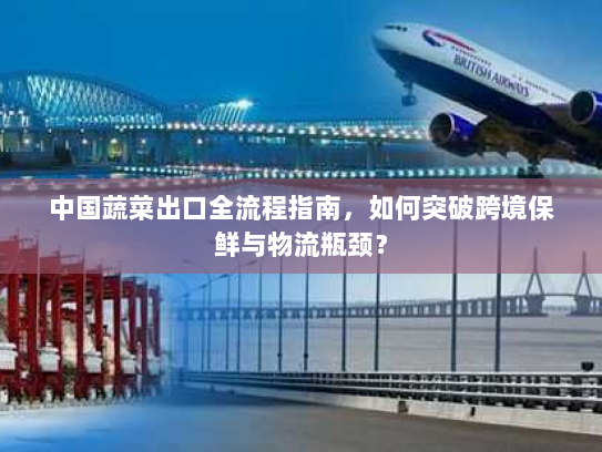 中国蔬菜出口全流程指南,如何突破跨境保鲜与物流瓶颈? 中国蔬菜出口全流程指南,如何突破跨境保鲜与物流瓶颈?