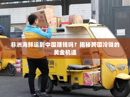 非洲海鲜运到中国赚钱吗?揭秘跨国冷链的黄金机遇 非洲海鲜运到中国赚钱吗?揭秘跨国冷链的黄金机遇