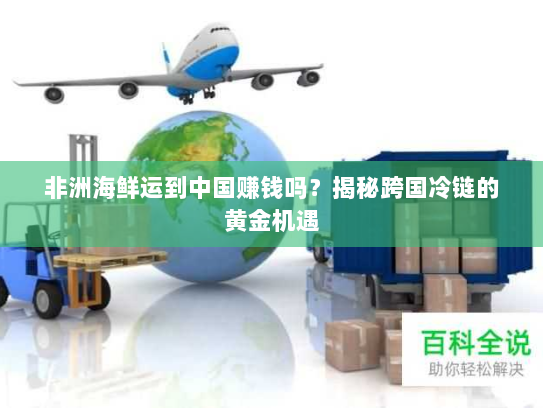 非洲海鲜运到中国赚钱吗?揭秘跨国冷链的黄金机遇 非洲海鲜运到中国赚钱吗?揭秘跨国冷链的黄金机遇