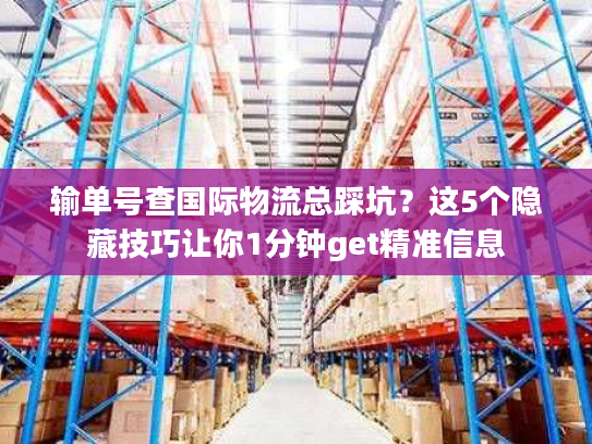 输单号查国际物流总踩坑?这5个隐藏技巧让你1分钟get精准信息 输单号查国际物流总踩坑?这5个隐藏技巧让你1分钟get精准信息