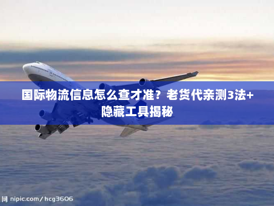 国际物流信息怎么查才准？老货代亲测3法+隐藏工具揭秘