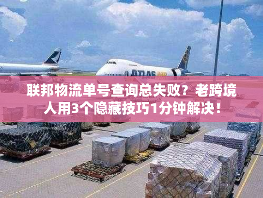 联邦物流单号查询总失败？老跨境人用3个隐藏技巧1分钟解决！