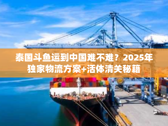 泰国斗鱼运到中国难不难？2025年独家物流方案+活体清关秘籍