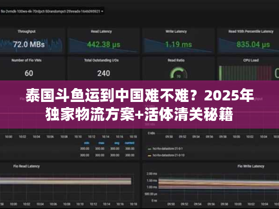 泰国斗鱼运到中国难不难？2025年独家物流方案+活体清关秘籍