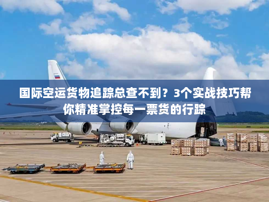 国际空运货物追踪总查不到？3个实战技巧帮你精准掌控每一票货的行踪