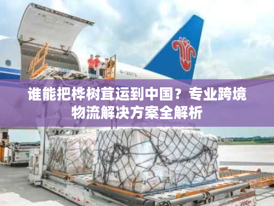 谁能把桦树茸运到中国？专业跨境物流解决方案全解析